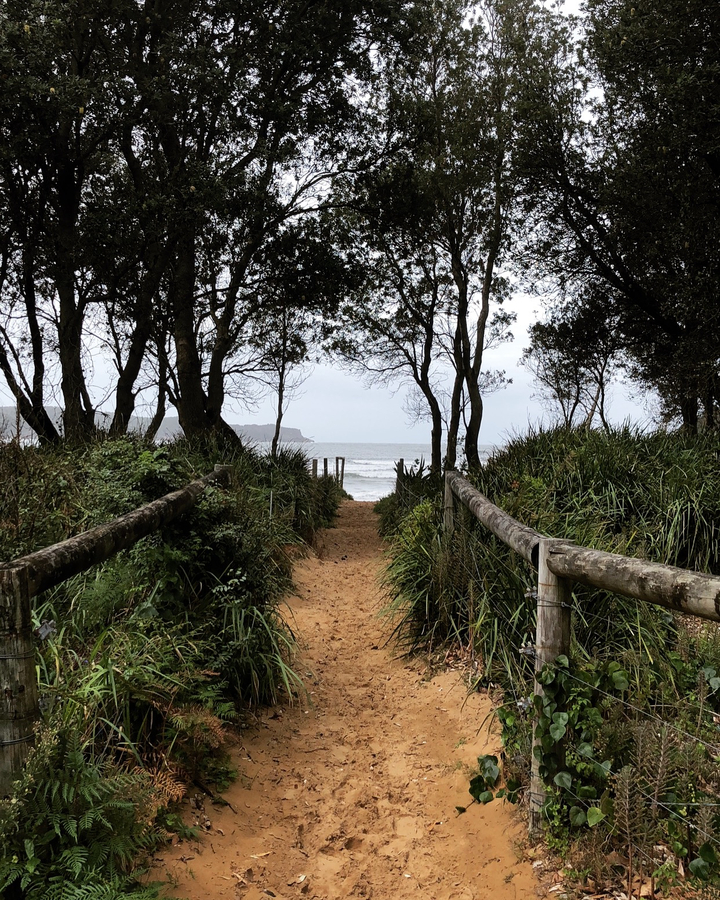Wooden path leading to a beach with ocean views.