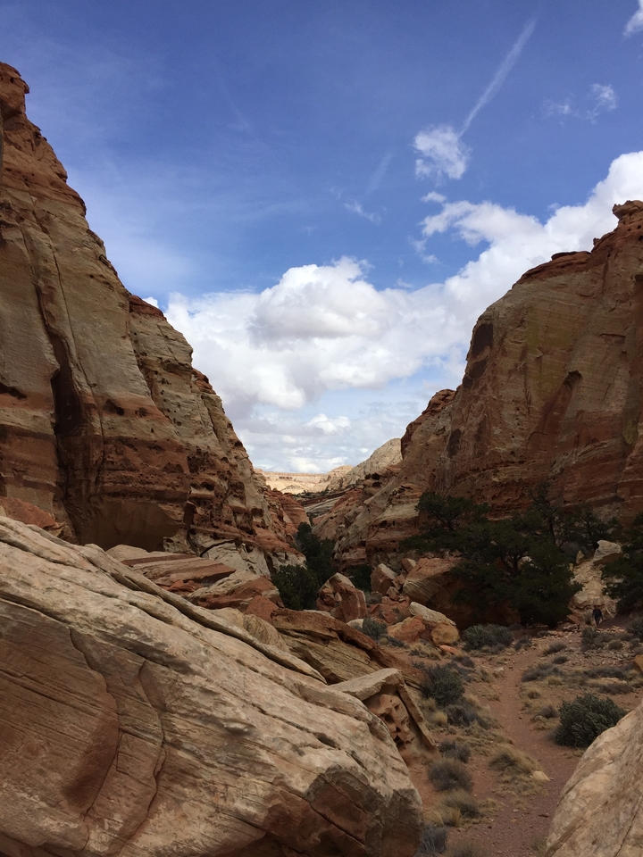 Canyon landscape with rocky formations.