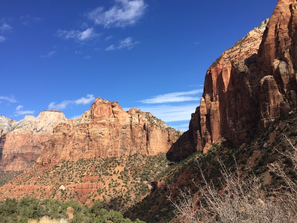 Paysage de canyon avec feuillage et formations rocheuses rouges.
