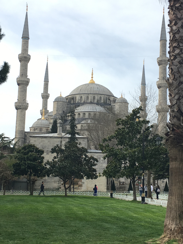 Magnifique architecture de la Mosquée bleue, entourée d'une végétation luxuriante.