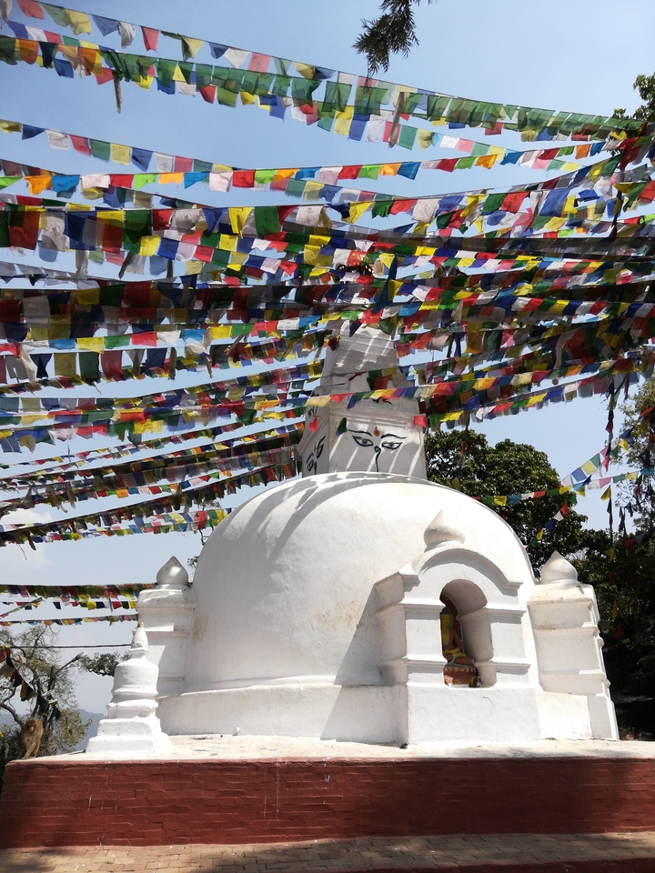 Stupa avec des yeux peints, entouré de drapeaux de prière.