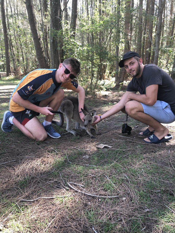 Two people interacting with a kangaroo in the forest.