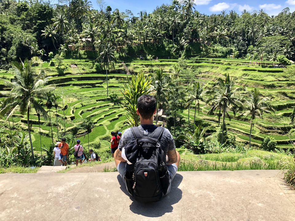 Person overlooking terraced rice fields.