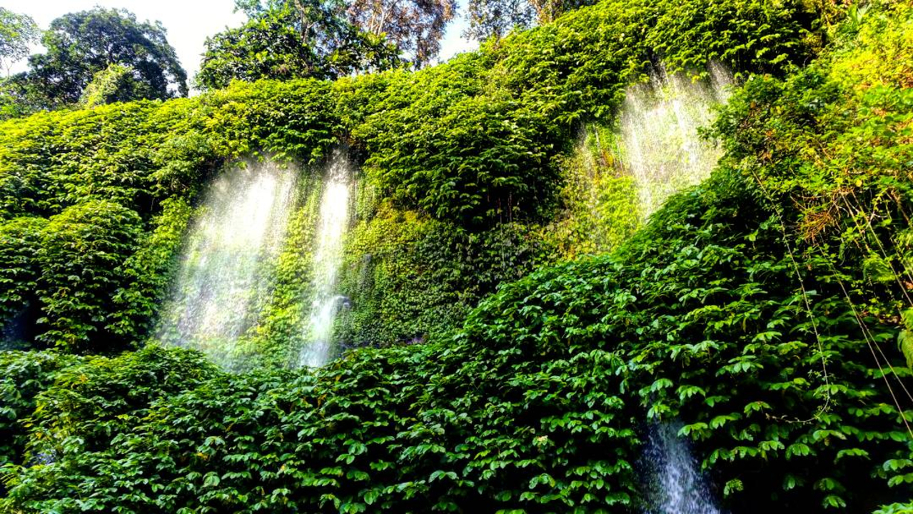 A lush green waterfall flowing over a wall of vegetation.