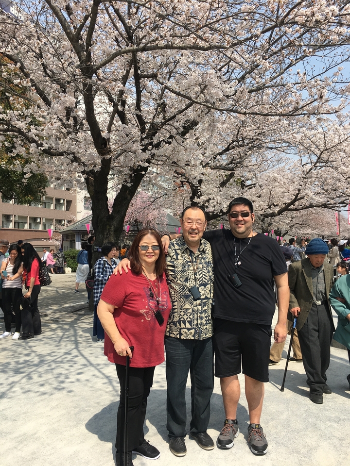 Des personnes profitent des cerisiers en fleurs sous les arbres sakura.