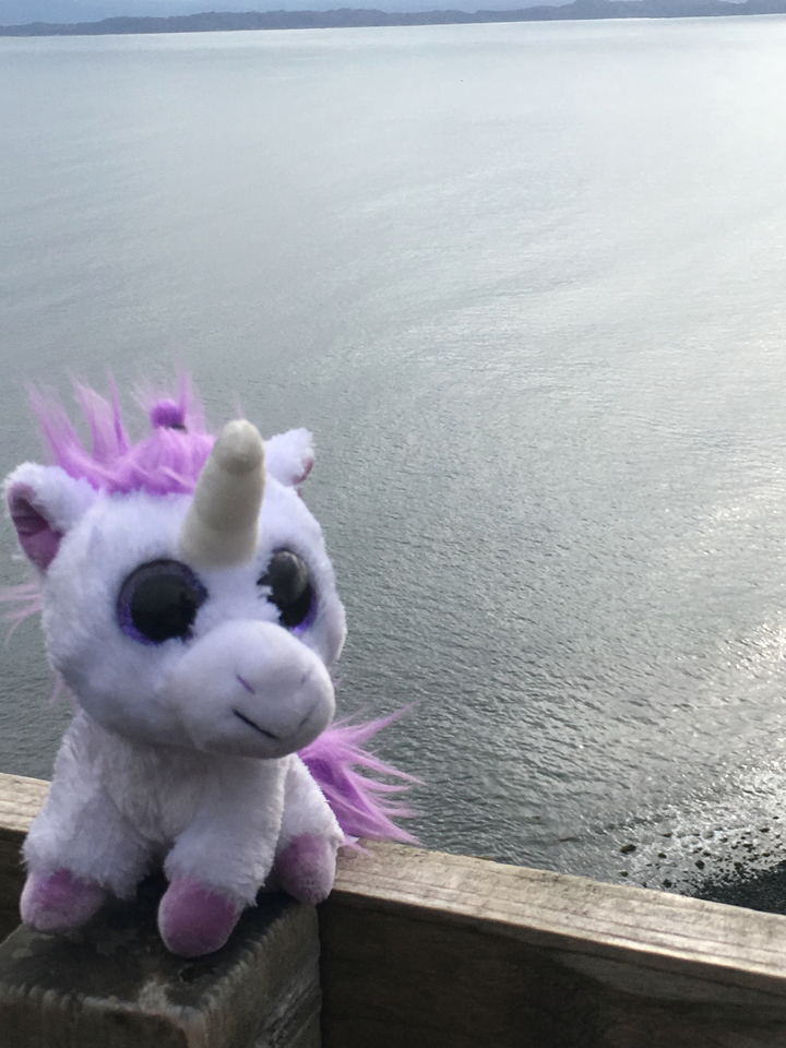 Stuffed unicorn toy near a body of water.