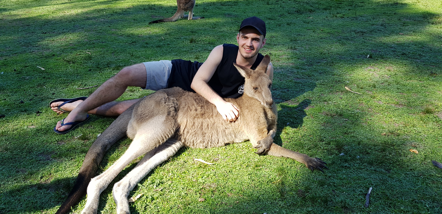 Man hugging a kangaroo on grass