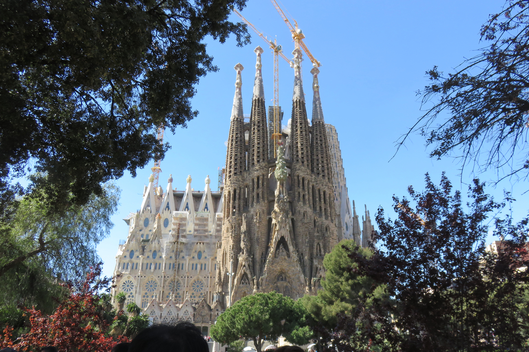 A large cathedral with ornate spires surrounded by trees