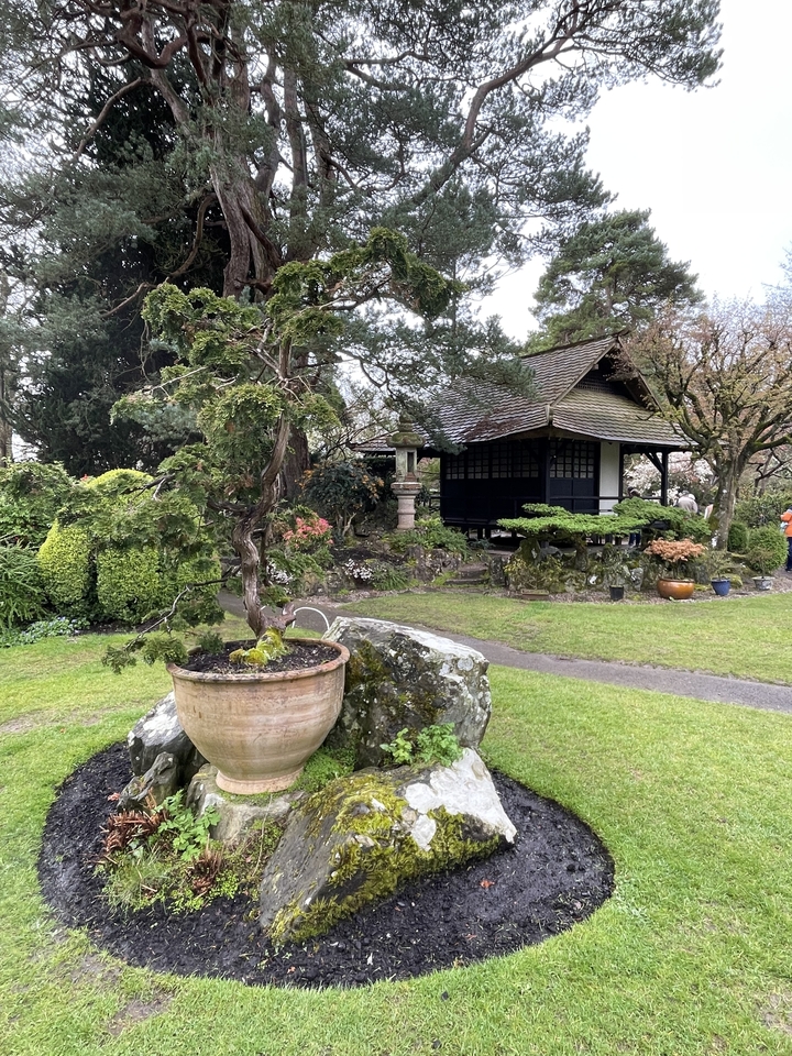 Jardin traditionnel avec une structure de style japonais.