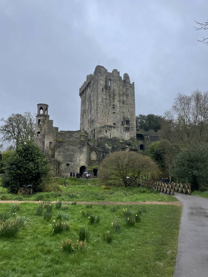 Ruines de pierre d'un ancien château entourées de verdure.