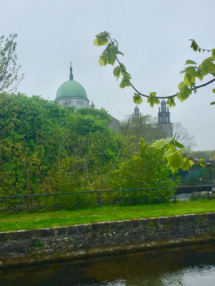 Dôme d'une église se détachant d'une végétation luxuriante.