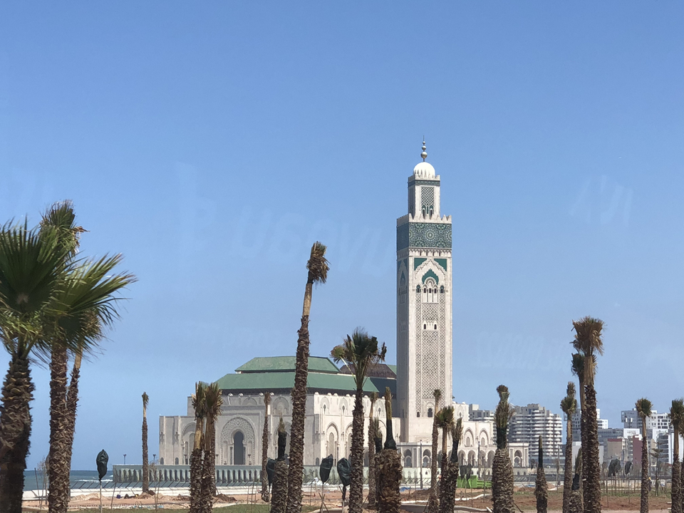 Hassan II Moschee mit Palmen in Casablanca.