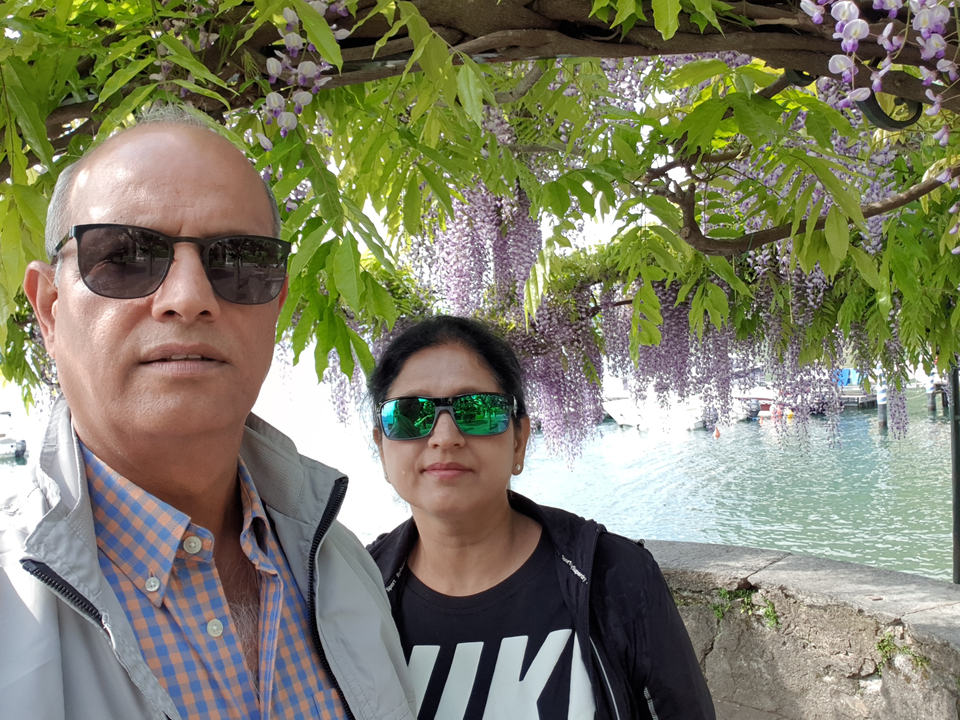 Couple posant sous un arbre à fleurs violettes au bord d'un lac.
