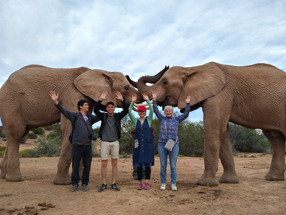Groupe posant joyeusement avec deux éléphants enjoués.