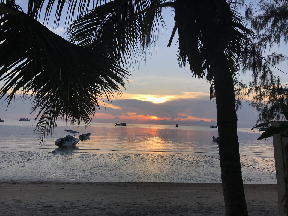 Sunset view over a tranquil sea with boats and palm leaves framing the scene.