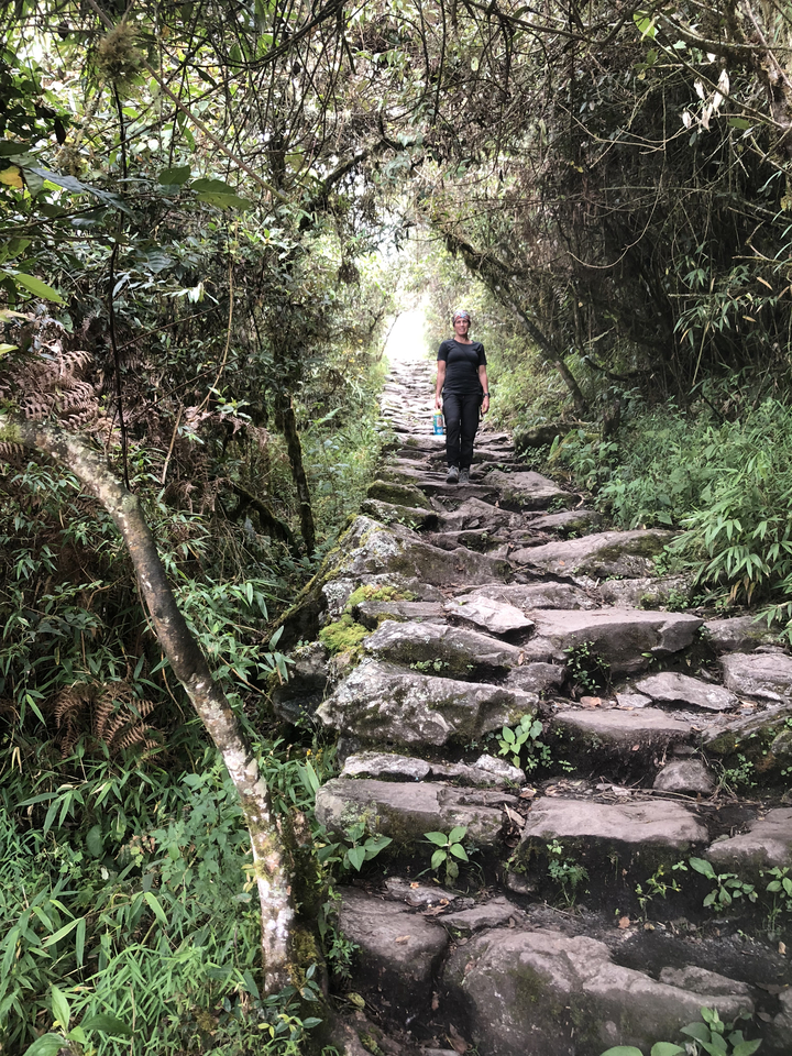 Randonneur sur un sentier rocailleux dans une zone forestière.
