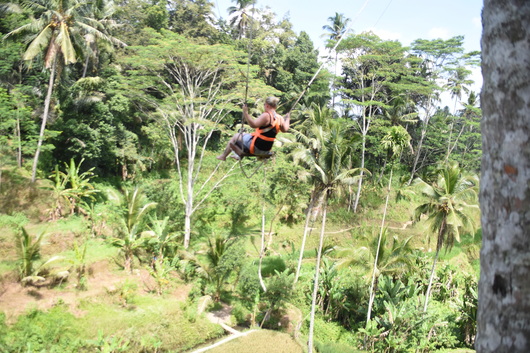 Person swinging over a lush green forest landscape.