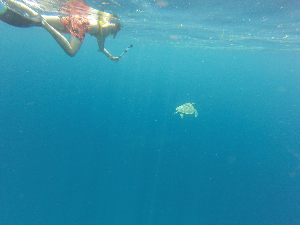 Underwater image of a person swimming near a turtle.