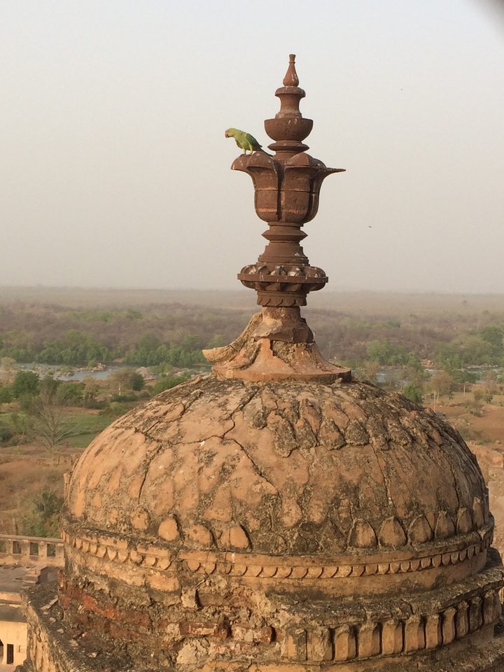 Structure de dôme altérée avec une surface fissurée dans un paysage rural.