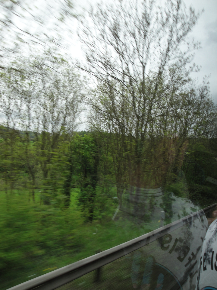 Vue floue d'une forêt à travers une vitre.