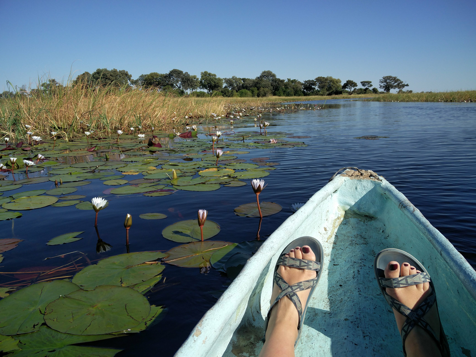 Canoë sur une rivière couverte de nénuphars dans un cadre naturel.