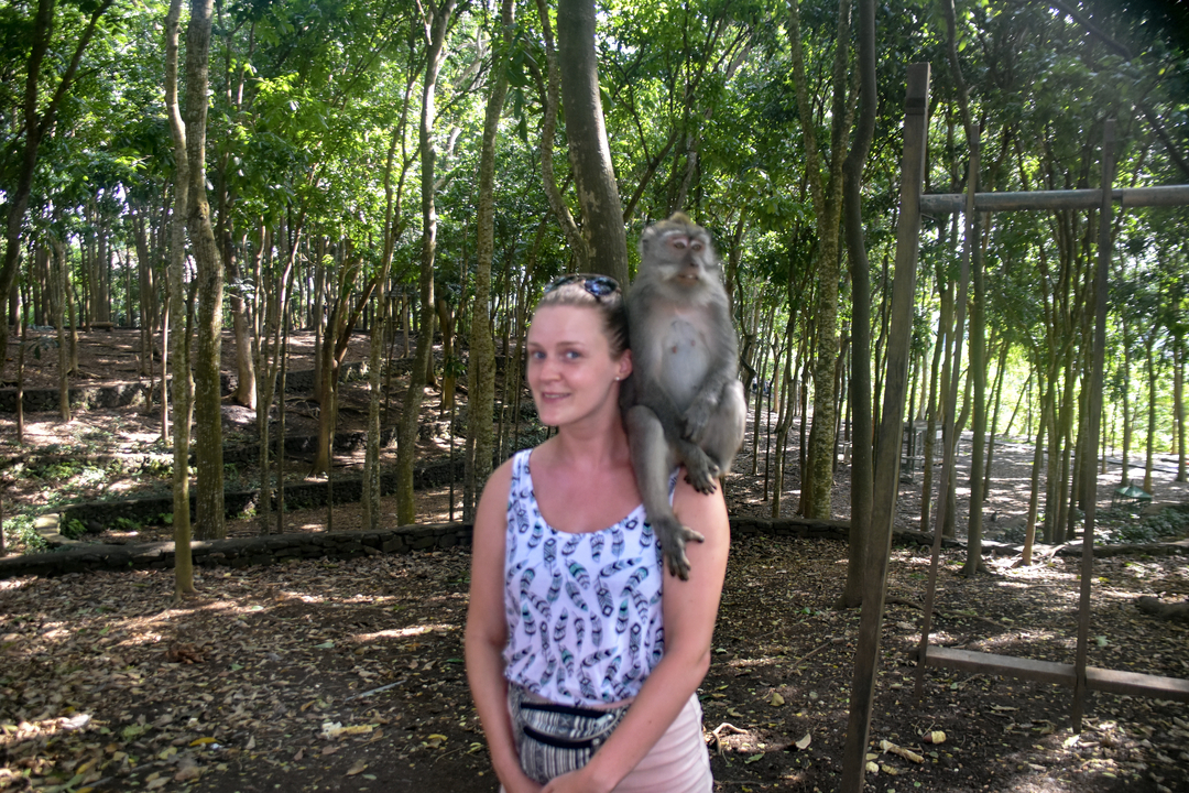 Person with a monkey on their shoulder in a forest.
