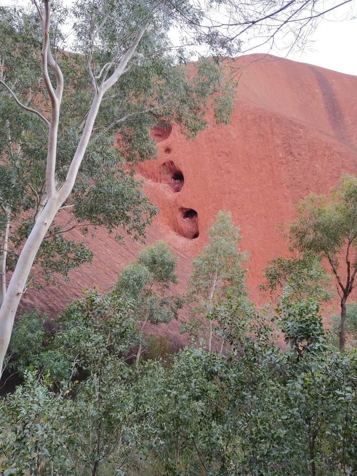 Formation rocheuse rouge avec des trous et des arbres autour.