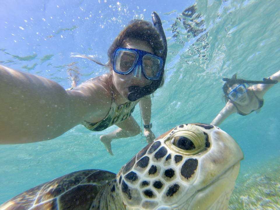 People snorkeling with a sea turtle.