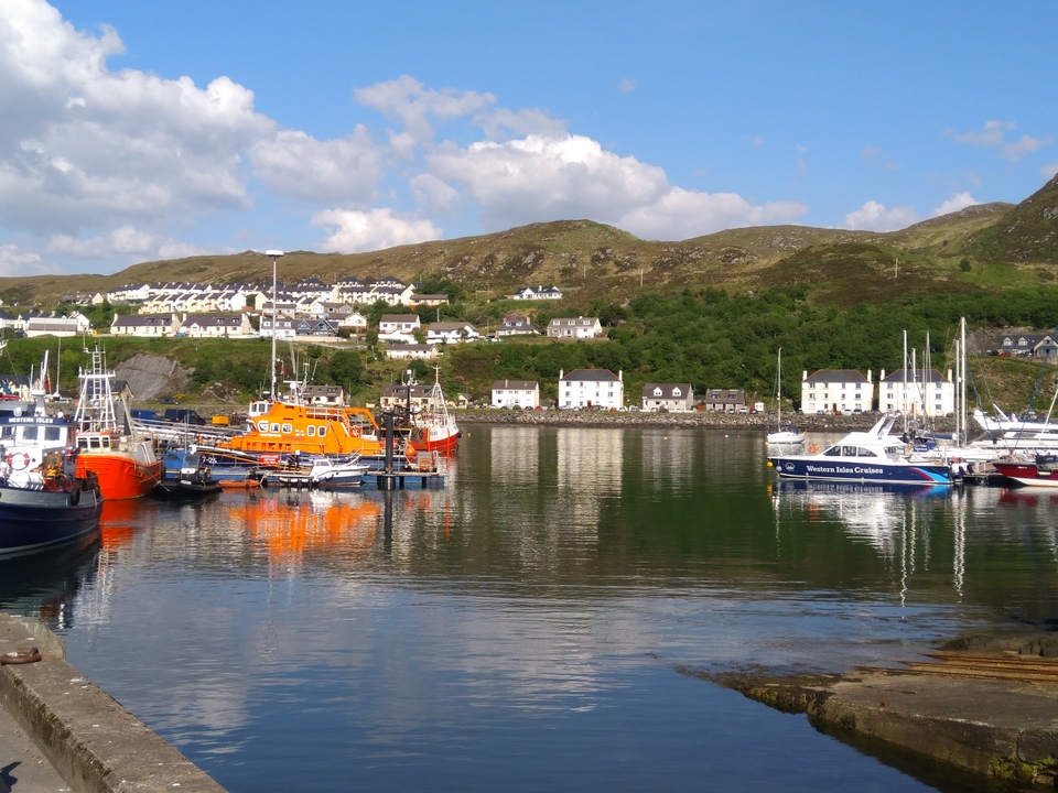 Port de pêche avec des bateaux colorés et des maisons sur une colline.
