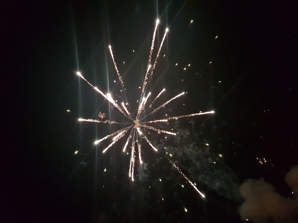 Feux d'artifice explosant dans un ciel nocturne.