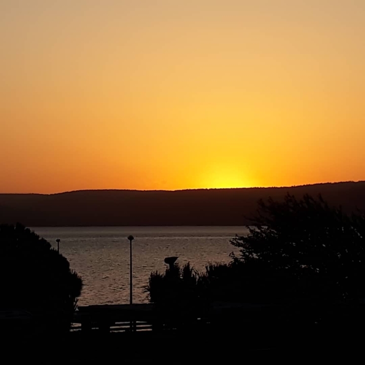 Coucher de soleil sur une étendue d'eau avec silhouette d'arbres.