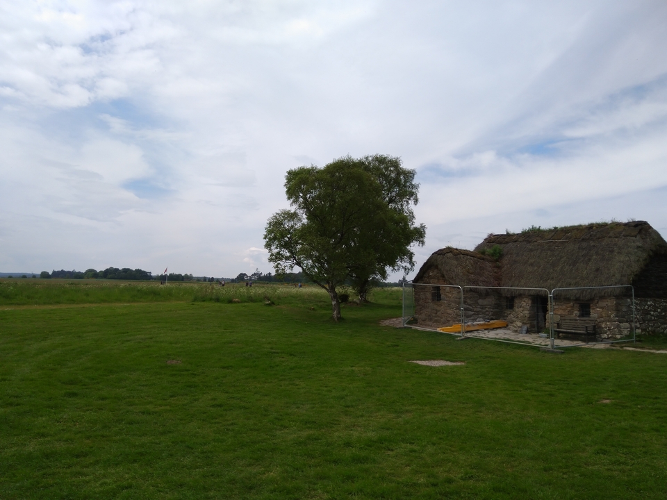 Un champ herbeux avec une petite structure en pierre et un arbre.