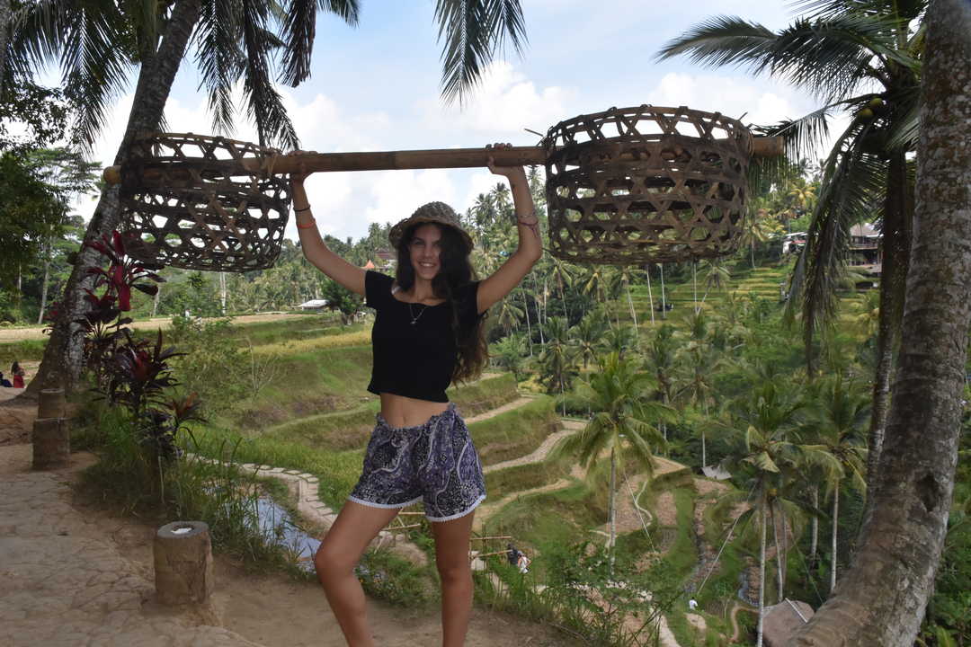 Person holding a bamboo pole with baskets in front of rice terraces.
