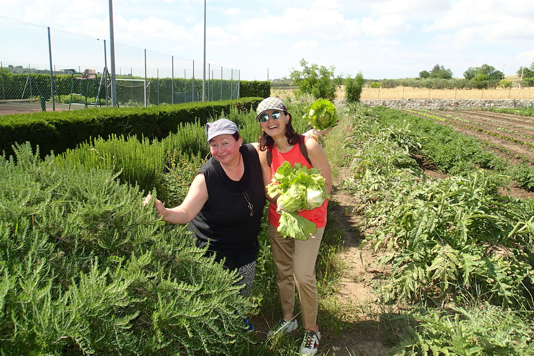 Deux femmes avec des laitues dans un jardin.