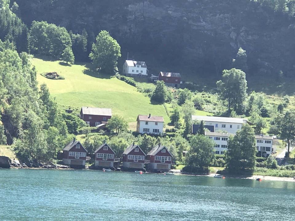 Vue panoramique de maisons au bord d'un fjord avec de la verdure.