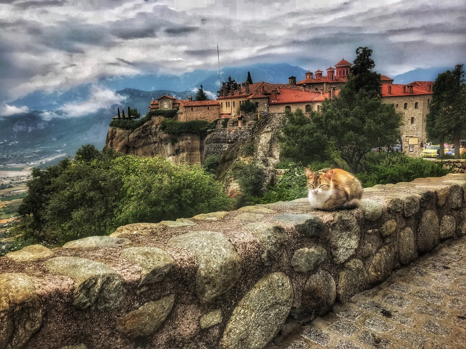 Chat assis sur un mur de pierre avec un monastère en arrière-plan.