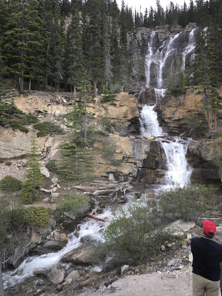 Une cascade entourée de rochers et d'arbres.