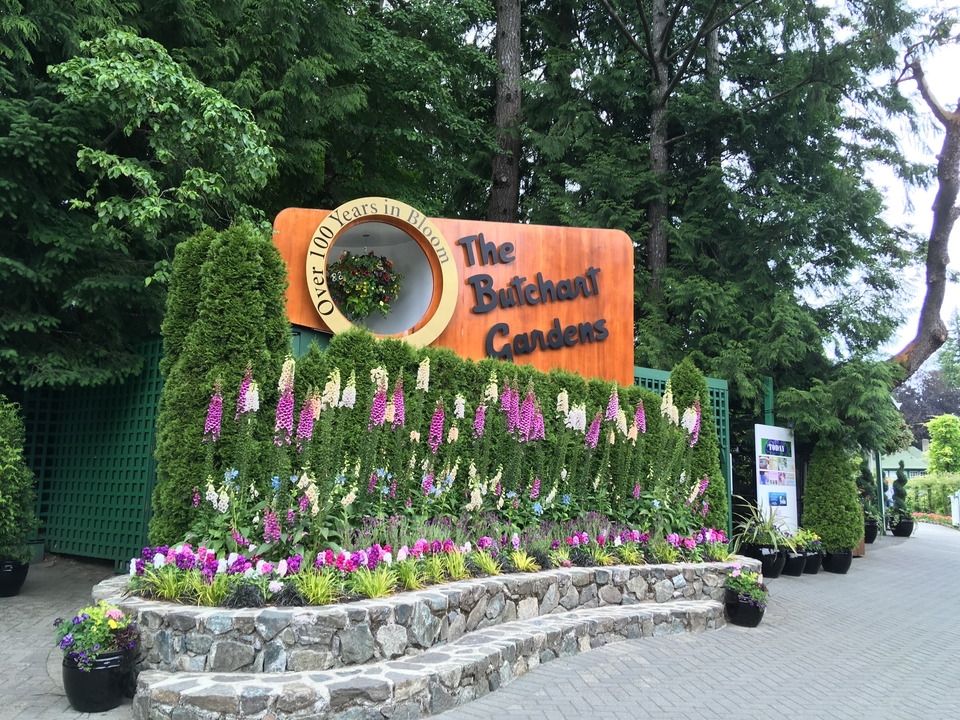 Entrée des jardins Butchart avec des fleurs colorées et des panneaux de signalisation.