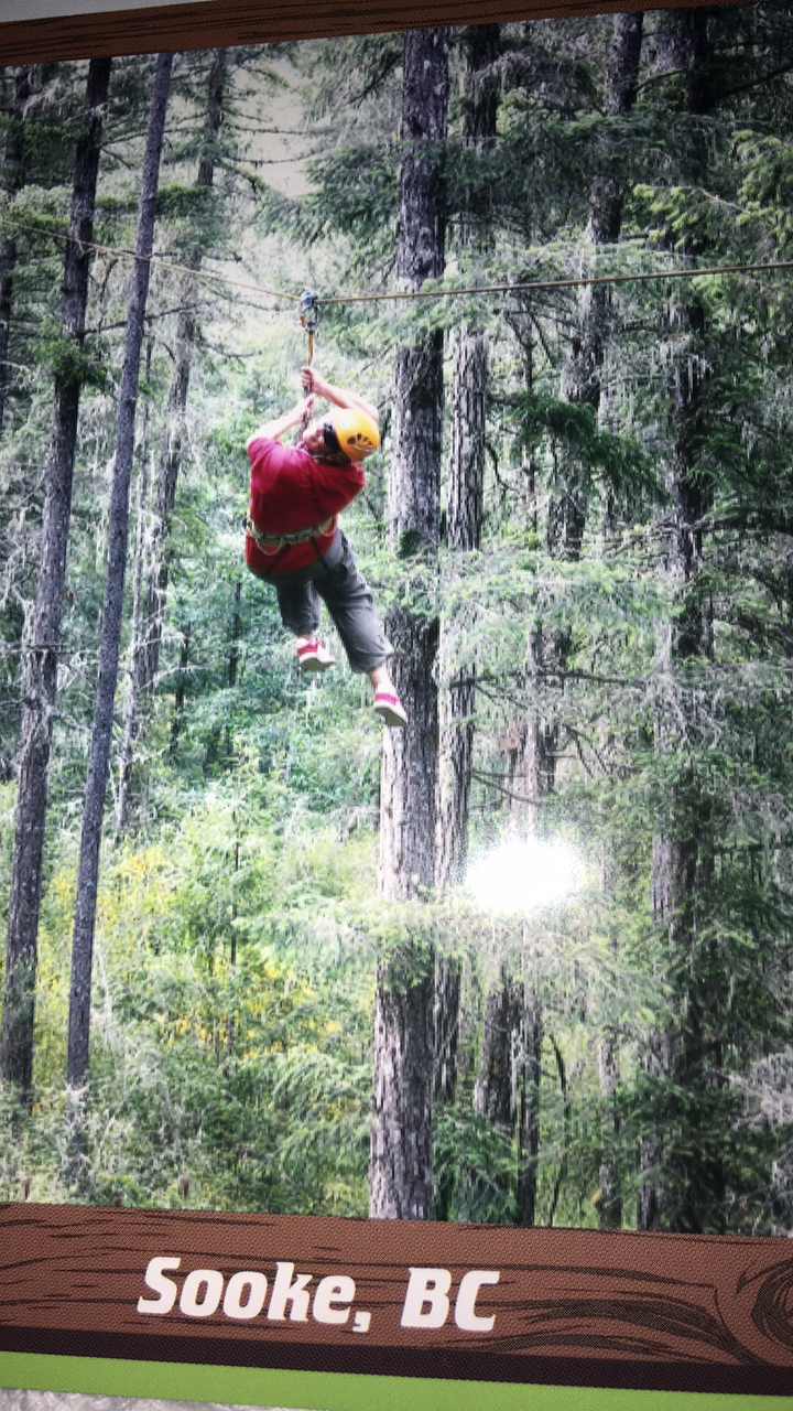 Personne faisant de la tyrolienne dans une forêt