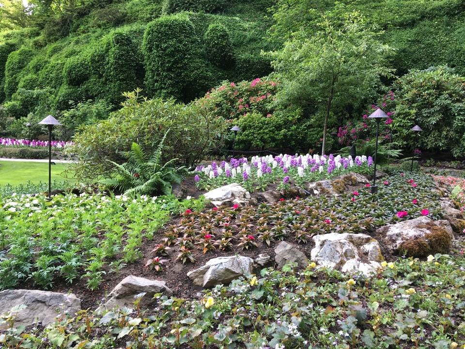 Un jardin coloré avec une variété de fleurs et d'arbustes.