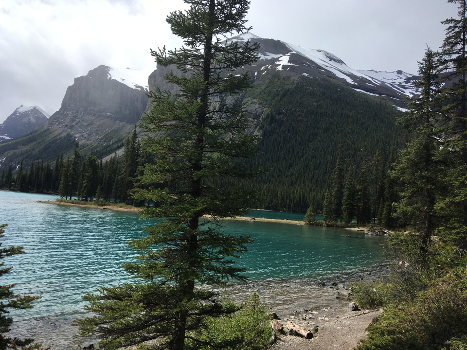 Vue panoramique d'un lac turquoise entouré d'arbres à feuilles persistantes et de montagnes lointaines.
