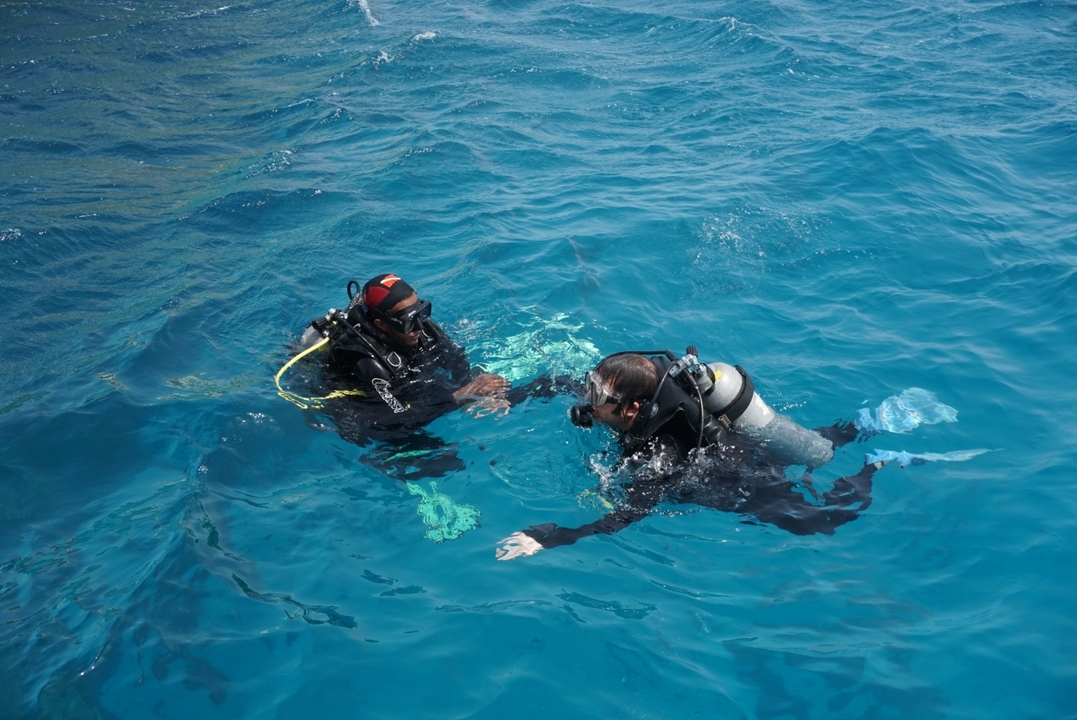 Deux personnes font de la plongée sous-marine dans une eau bleue et limpide.