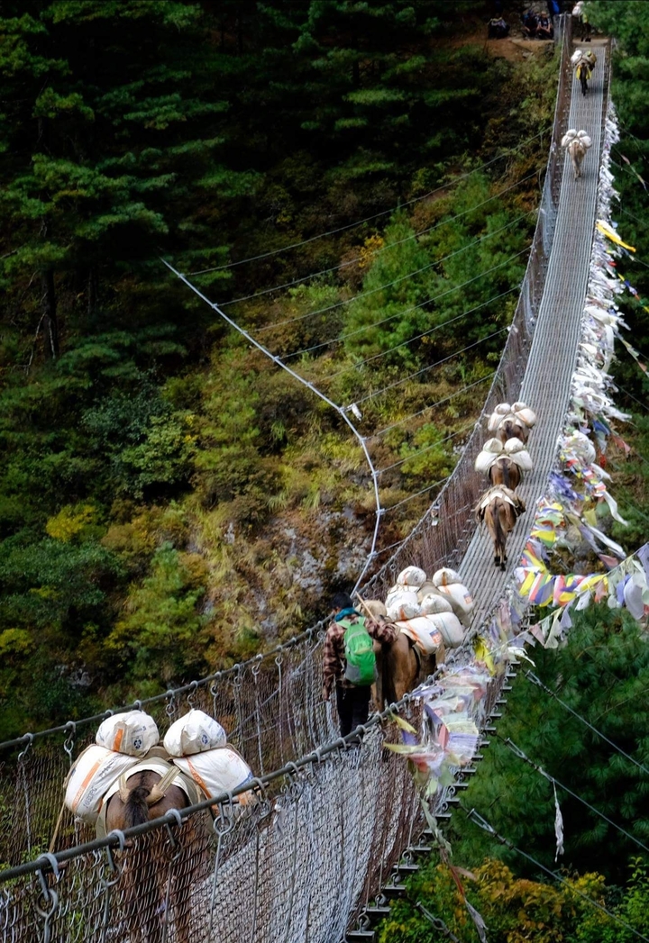 Pont suspendu avec des animaux traversant chargés de marchandises.