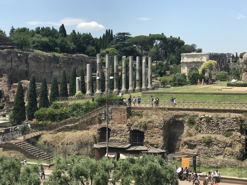 Ruines du Forum romain avec plusieurs colonnes visibles.