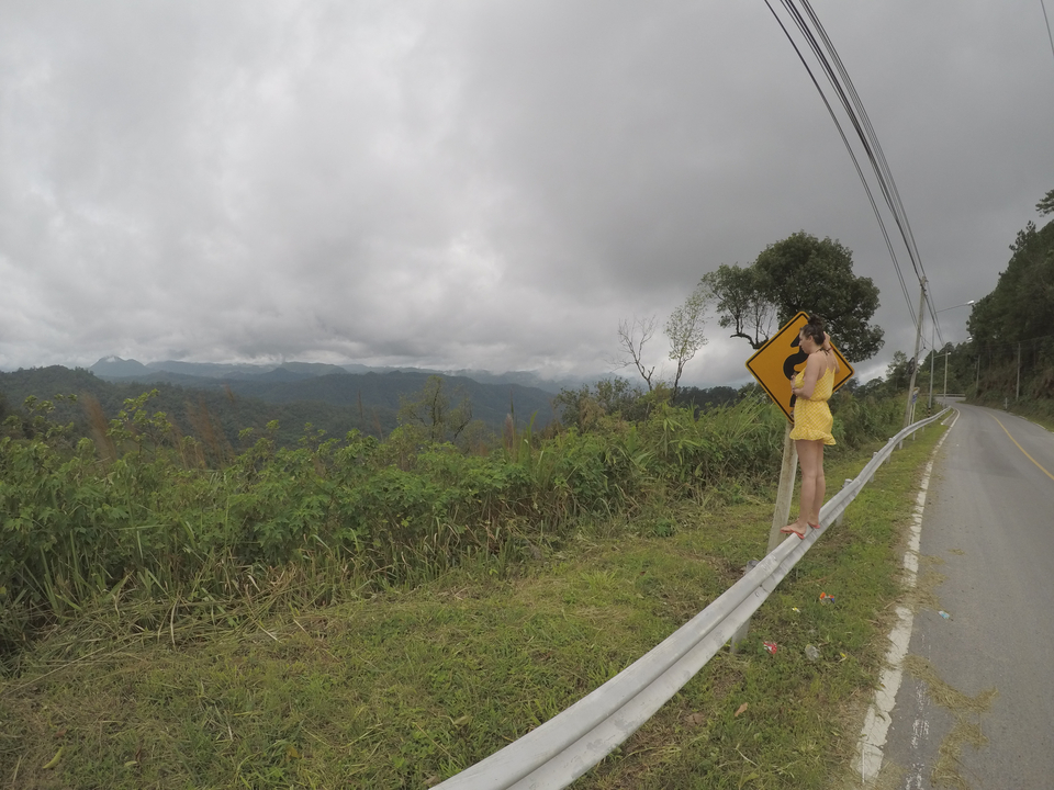 Person taking a scenic photo next to a road sign.