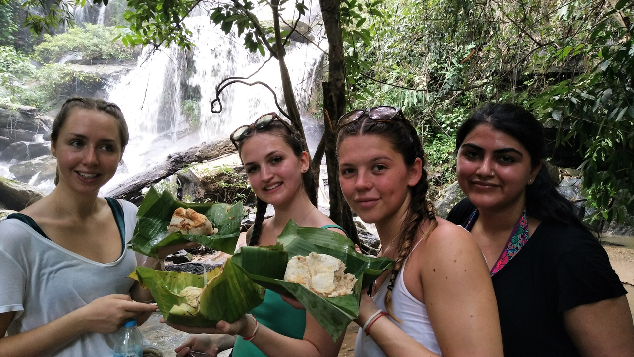 Group of people eating by a waterfall.