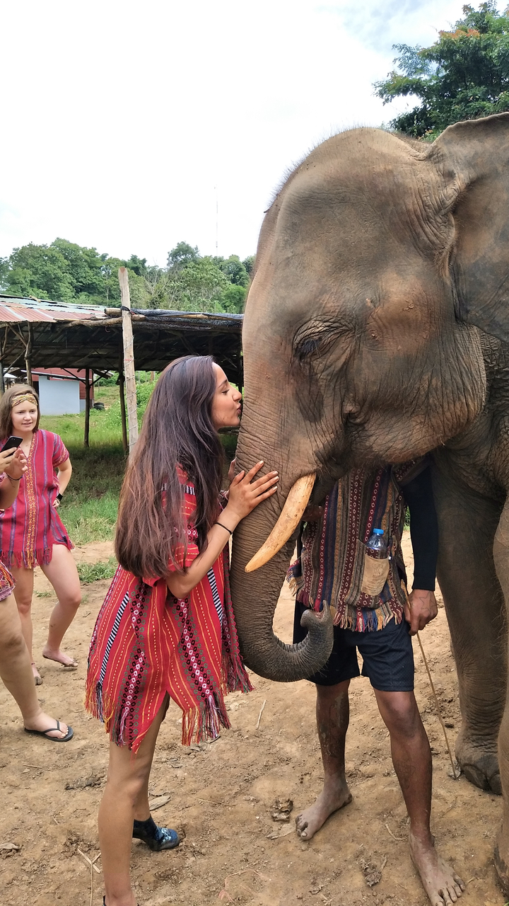 Woman interacting with an elephant.