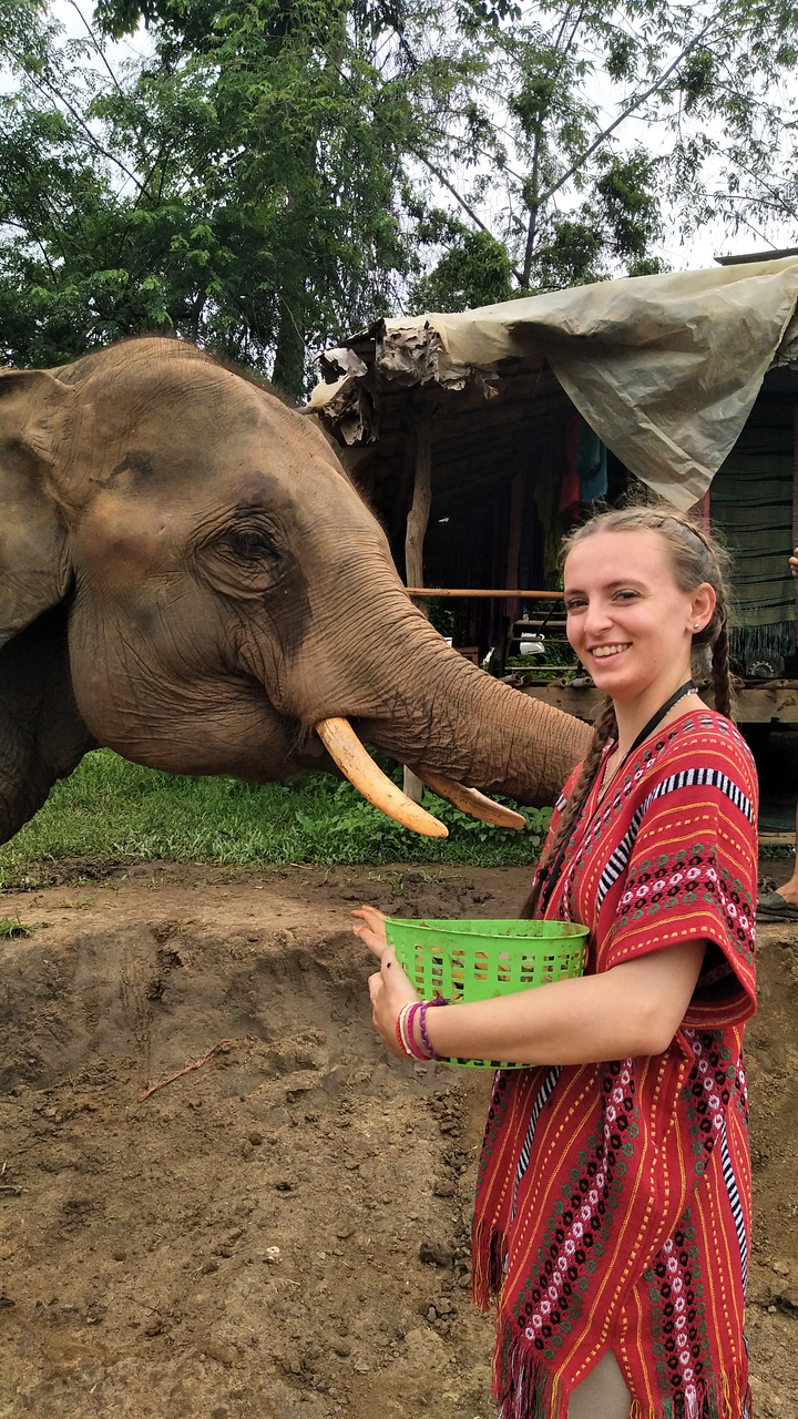 Woman interacting with an elephant in natural setting.