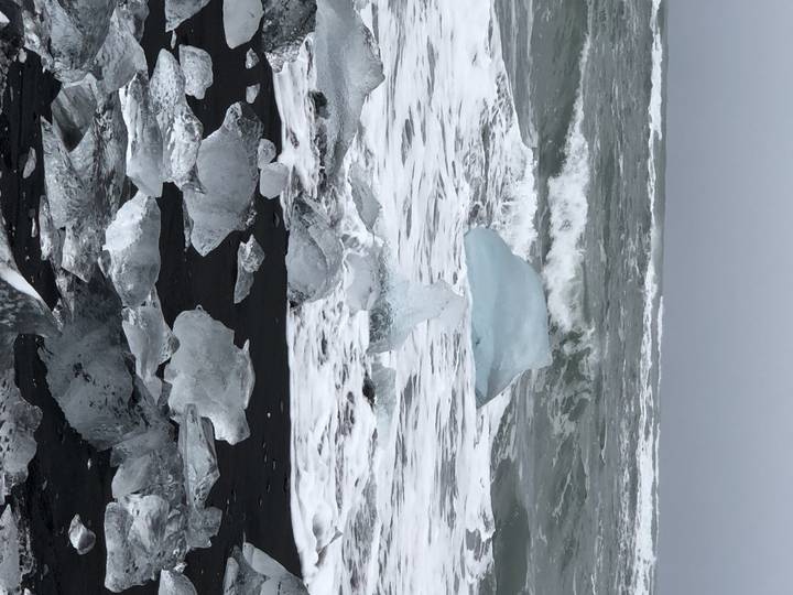 Blurry white image with hints of animals.