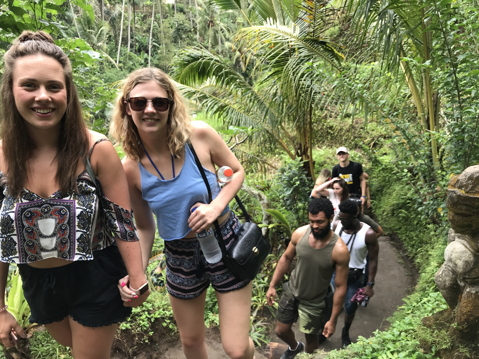 People hiking up a path surrounded by lush greenery.